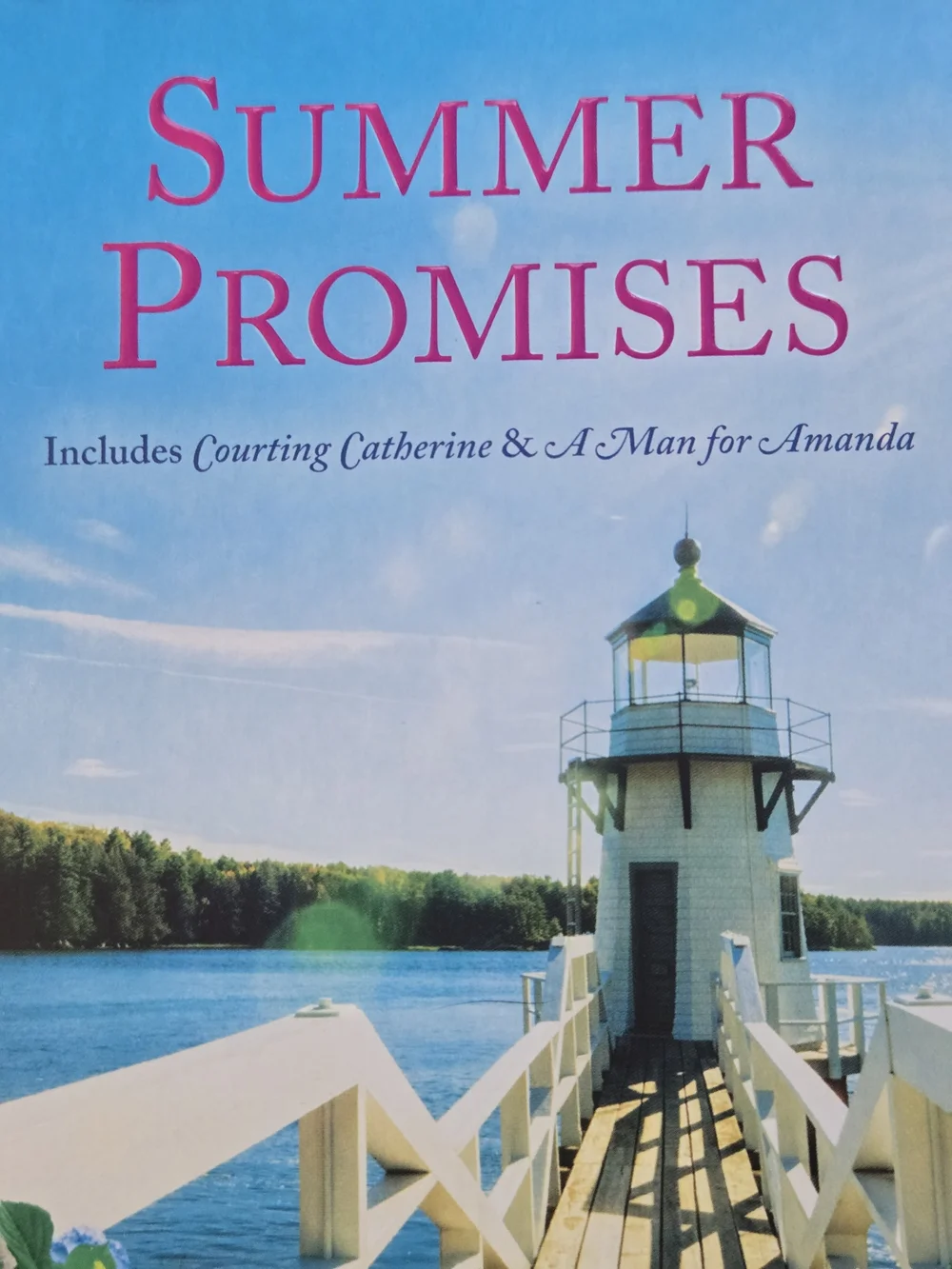 Nora Roberts Summer Promises NEW Paperback Novel